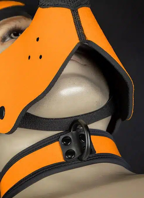 Mr. S Neoprene WOOF! Head Harness Orange