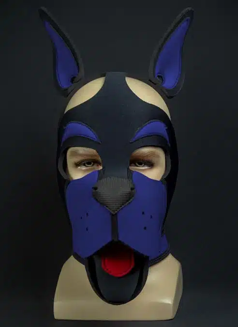 Mr. S Neoprene WOOF! Head Harness Royal blue