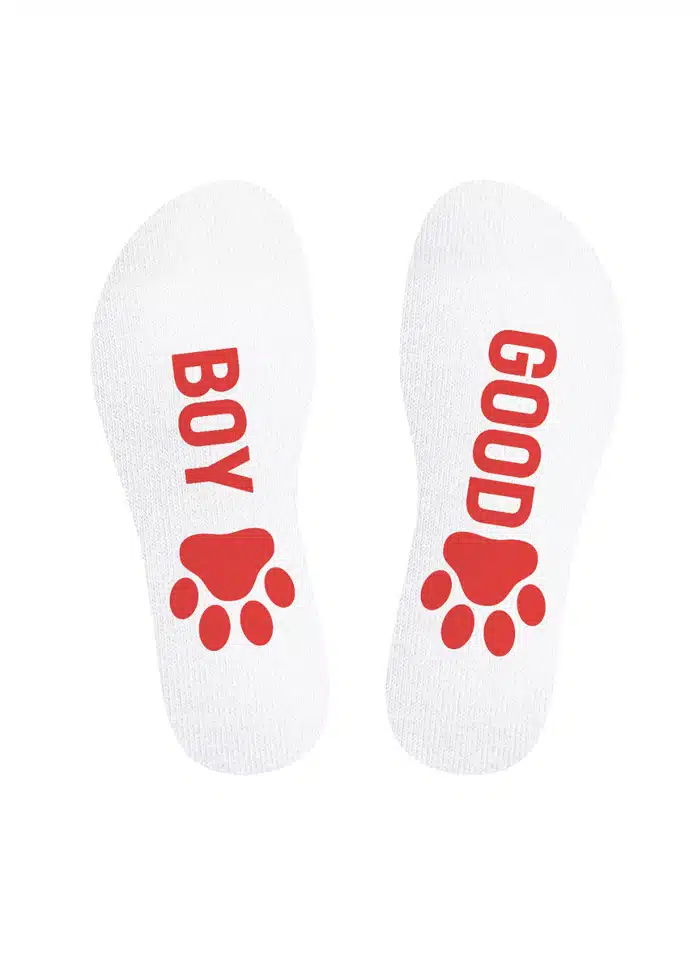 Sneakxx Sneaker Socks GOOD BOY (Four Colors)