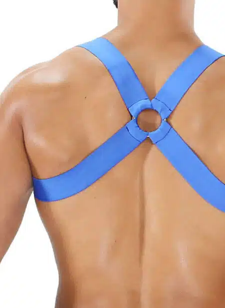 ToF Paris Fetish Harness Blue