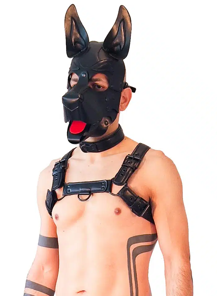 Brutus Vegan Leather Puppy Harness