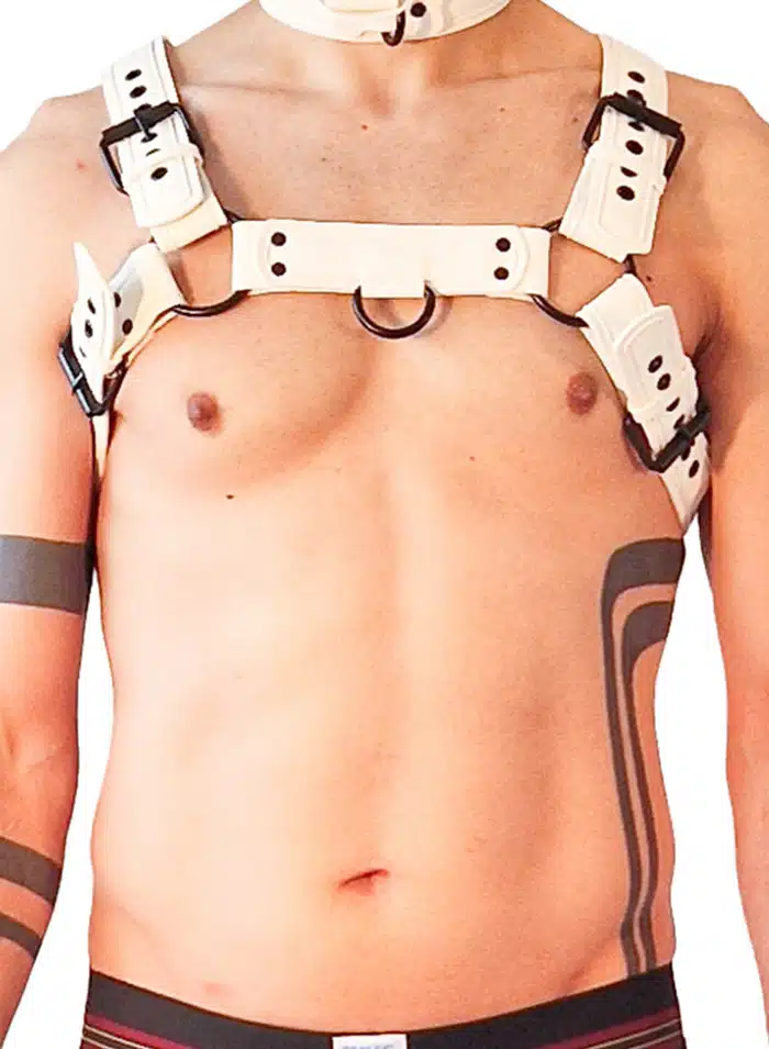 Brutus Vegan Leather Puppy Harness