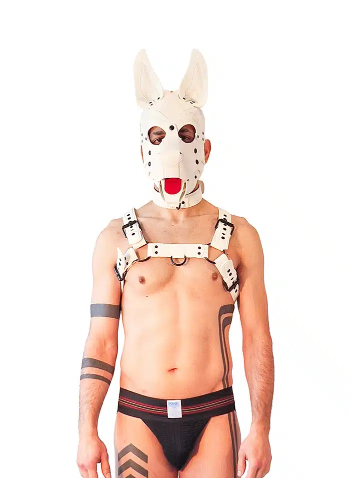 Brutus Vegan Leather Puppy Harness