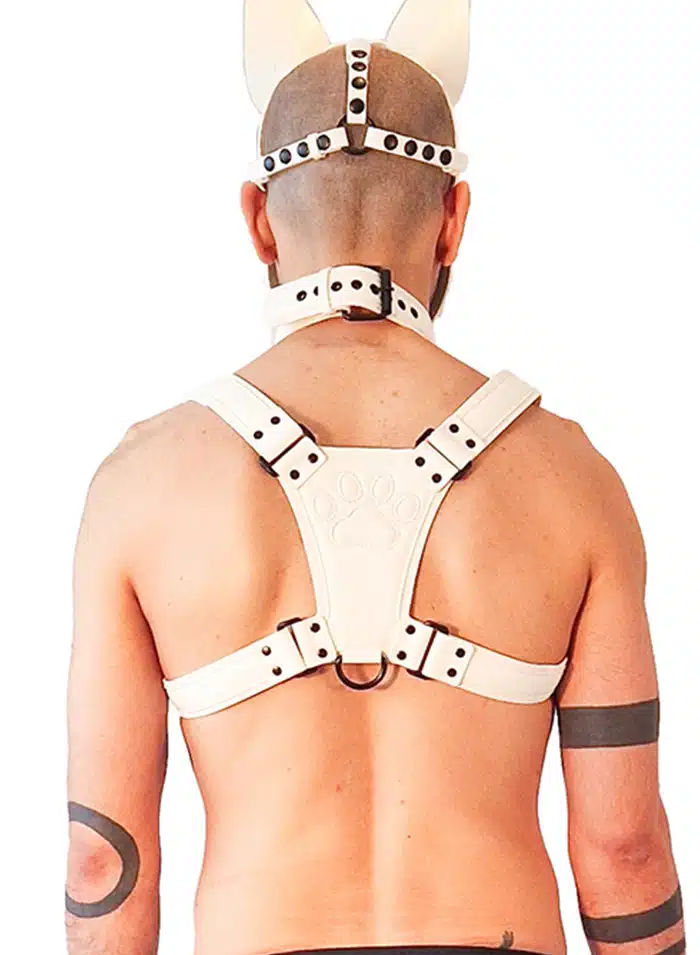 Brutus Vegan Leather Puppy Harness