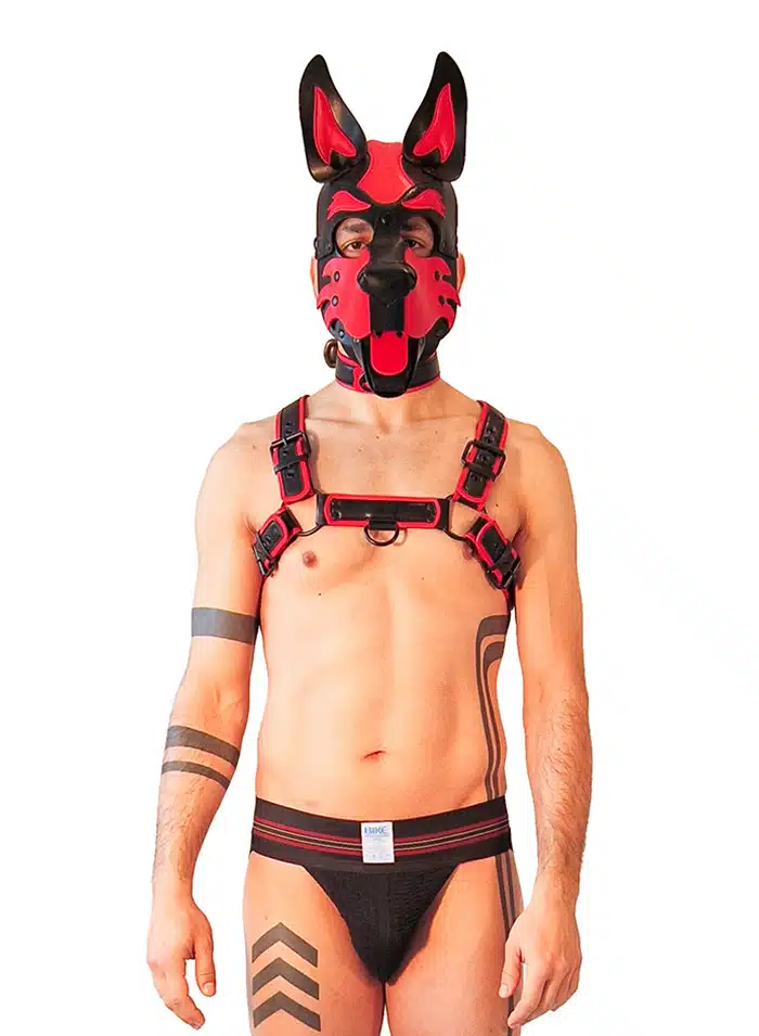 Brutus Vegan Leather Puppy Harness