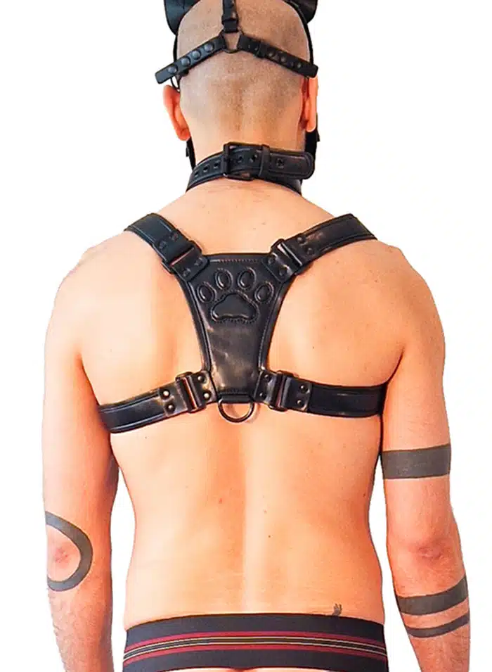 Brutus Vegan Leather Puppy Harness