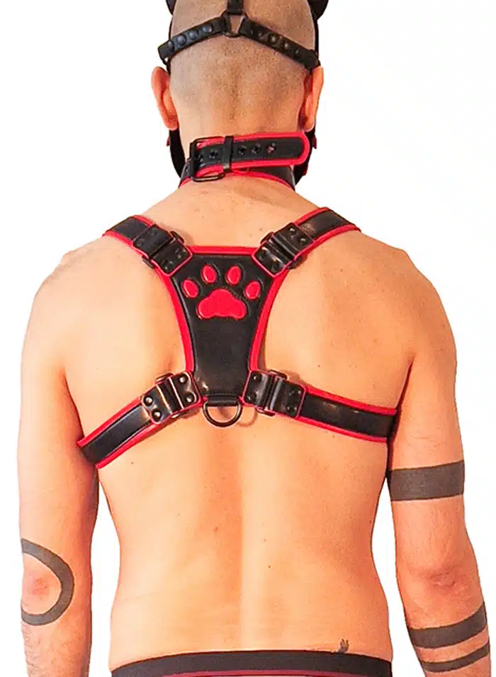 Brutus Vegan Leather Puppy Harness