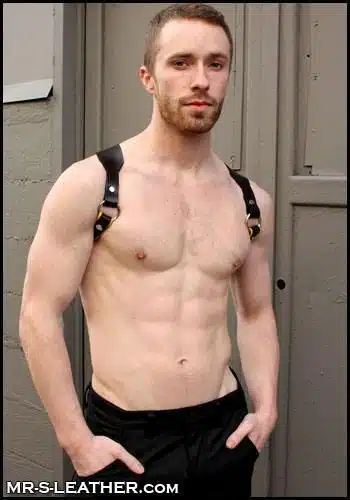 Mr. S Leather Suspender & Harness Combo