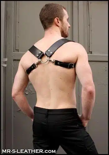 Mr. S Leather Suspender & Harness Combo