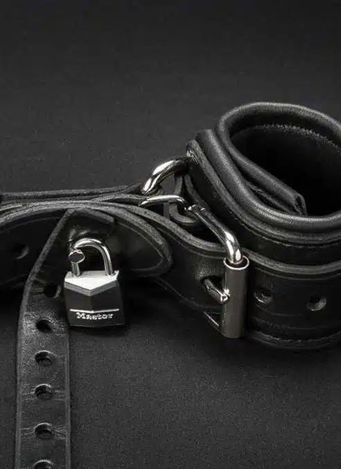 Mr. S Leather Wrist to Ball Restraint