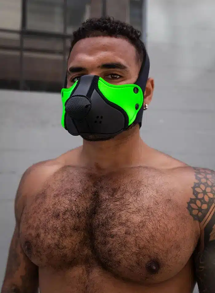 Mr. S Neo Open Face Harness