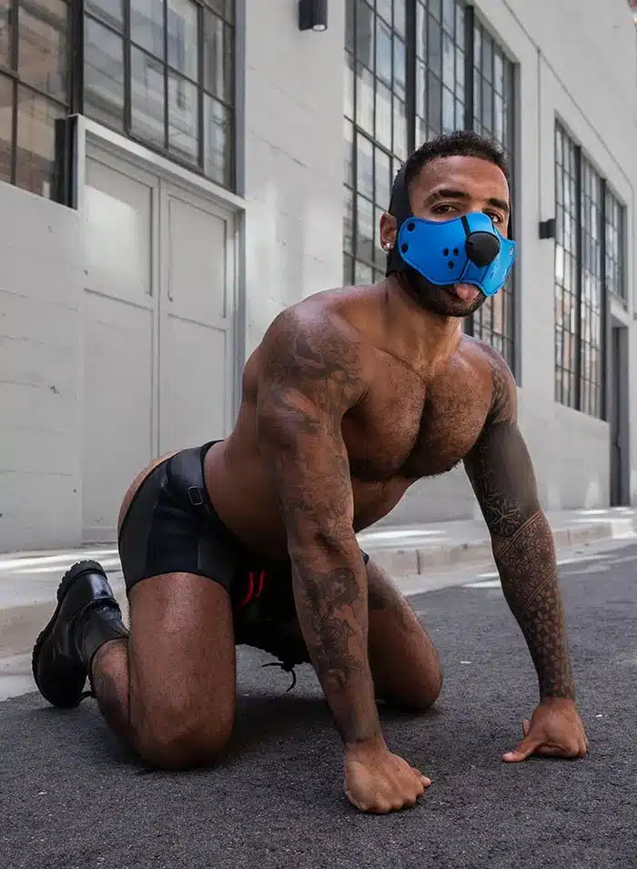 Mr. S Neo Open Face Harness