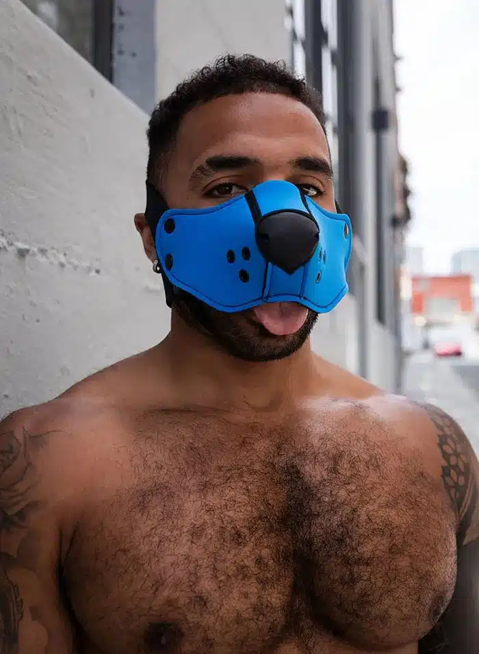 Mr. S Neo Open Face Harness