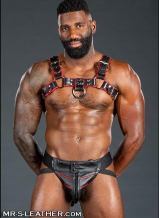 Mr. S Leather Bulldog Harness Piped