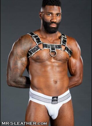 Mr. S Leather Bulldog Harness Piped