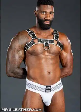 Mr. S Leather Bulldog Harness Piped