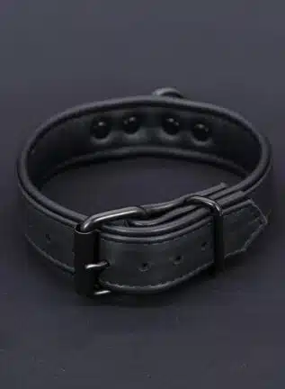 Mr. S Leather Hardline Collar Black