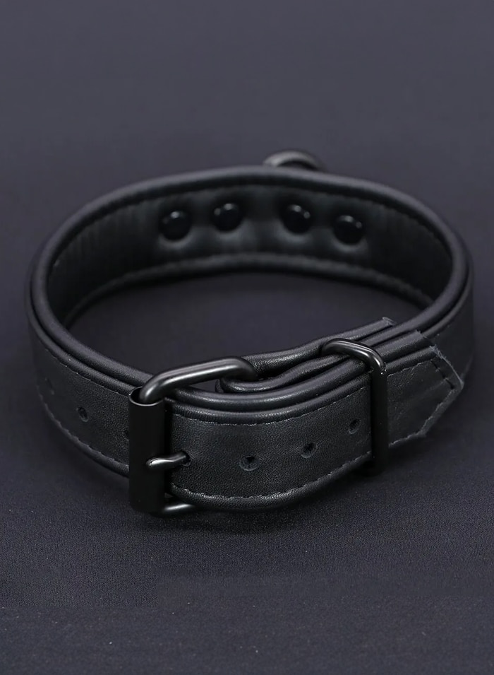 Mr. S Leather Hardline Collar Black