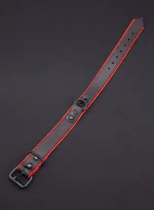 Mr. S Leather Hardline Collar Red