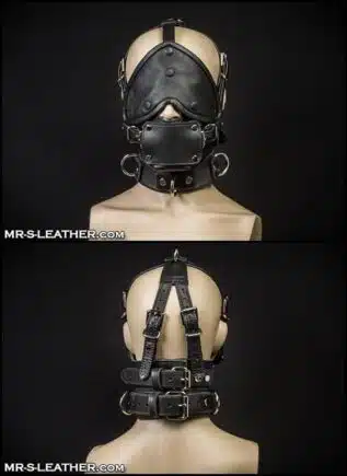 Mr. S Leather Bishop Head Harness