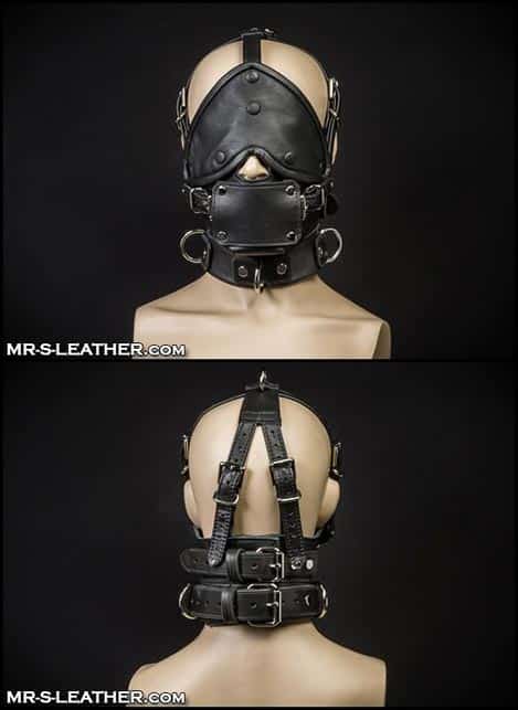 Mr. S Leather Bishop Head Harness