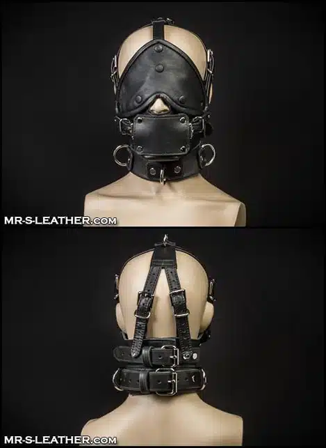 Mr. S Leather Bishop Head Harness