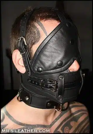 Mr. S Leather Bishop Head Harness