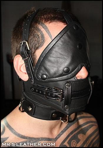 Mr. S Leather Bishop Head Harness