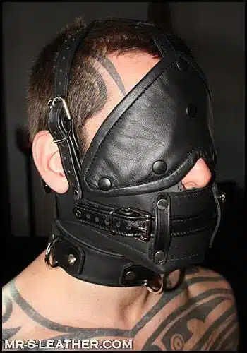 Mr. S Leather Bishop Head Harness