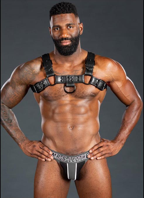 Mr. S Leather Dark Room Bulldog Harness Black