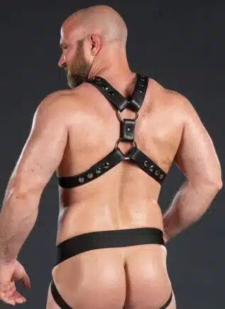 Mr. S Leather English Top Buckle Harness Garment Leather