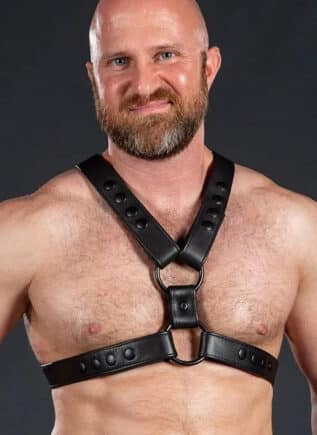 Mr. S Leather English Top Harness All Black