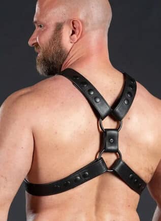 Mr. S Leather English Top Harness All Black