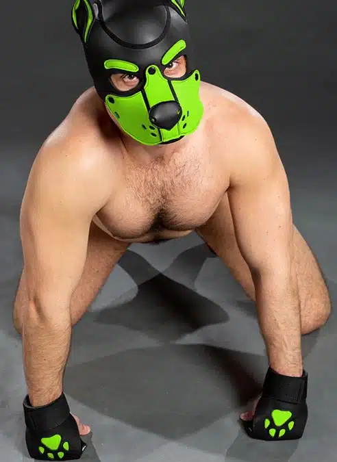 Mr. S Leather Open Paw Puppy Glove Lime