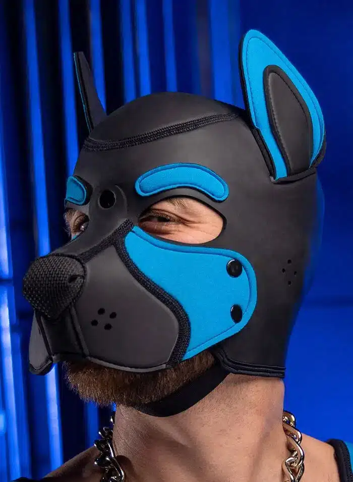 Mr. S Neo Frisky Pup Hood Aqua