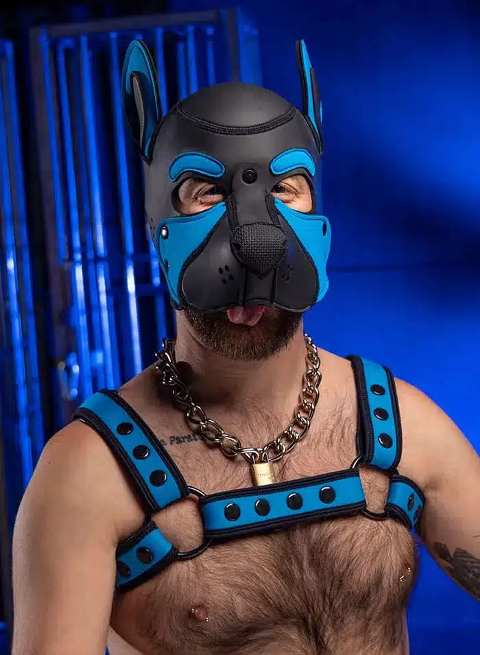 Mr. S Neo Frisky Pup Hood Aqua