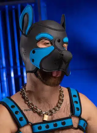 Mr. S Neo Frisky Pup Hood Aqua
