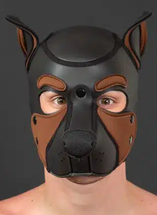 Mr. S Neo Frisky Pup Hood Brown