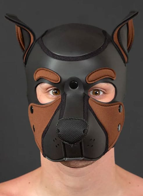 Mr. S Neo Frisky Pup Hood Brown