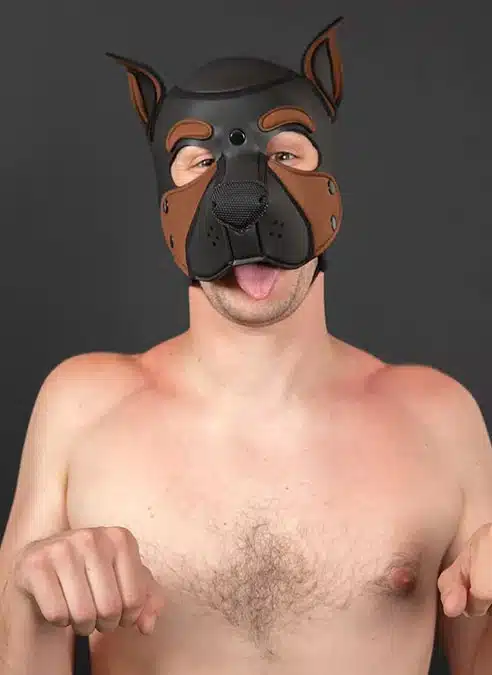Mr. S Neo Frisky Pup Hood Brown
