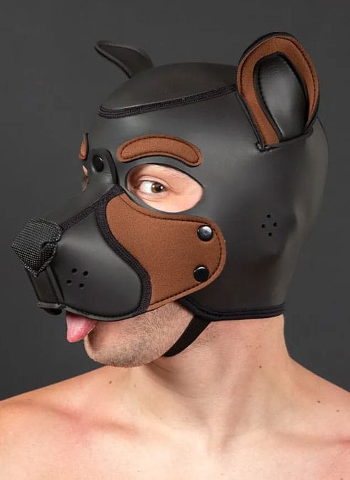 Mr. S Neo Frisky Pup Hood Brown