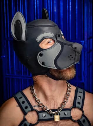 Mr. S Neo Frisky Pup Hood Grey