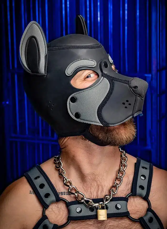 Mr. S Neo Frisky Pup Hood Grey