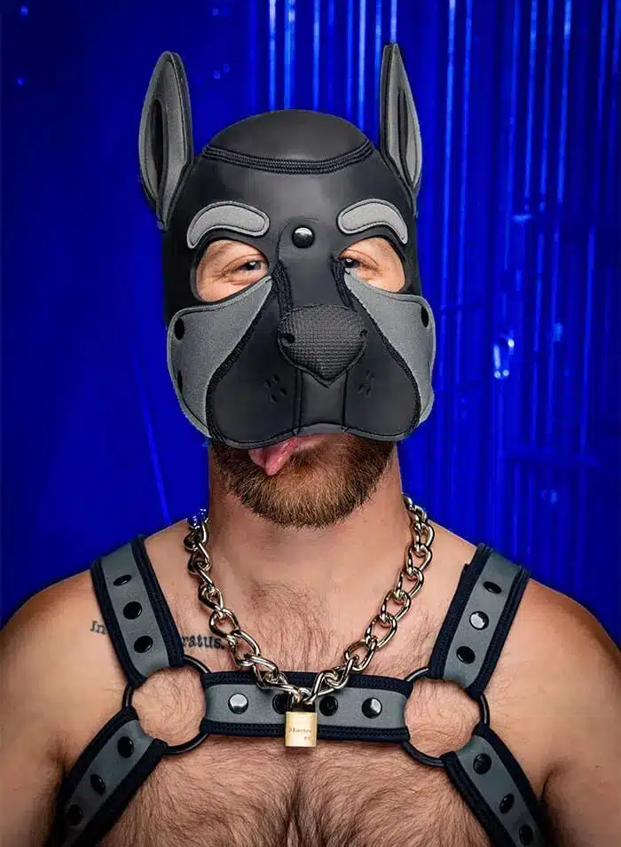 Mr. S Neo Frisky Pup Hood Grey