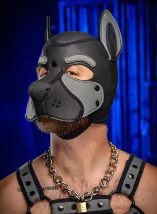 Mr. S Neo Frisky Pup Hood Grey