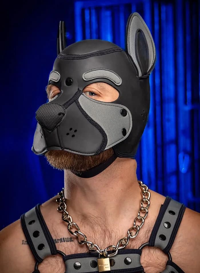 Mr. S Neo Frisky Pup Hood Grey