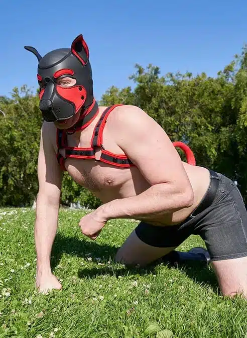 Mr. S Neo Frisky Pup Hood Red
