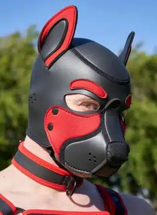 Mr. S Neo Frisky Pup Hood Red