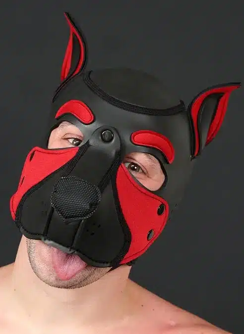 Mr. S Neo Frisky Pup Hood Red
