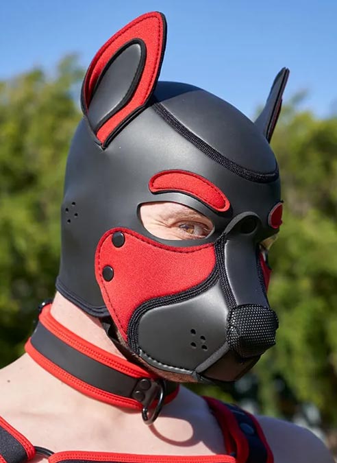 Mr. S Neo Frisky Pup Hood Red